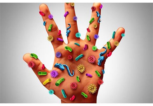 The focus of the human papillomavirus is on the hands